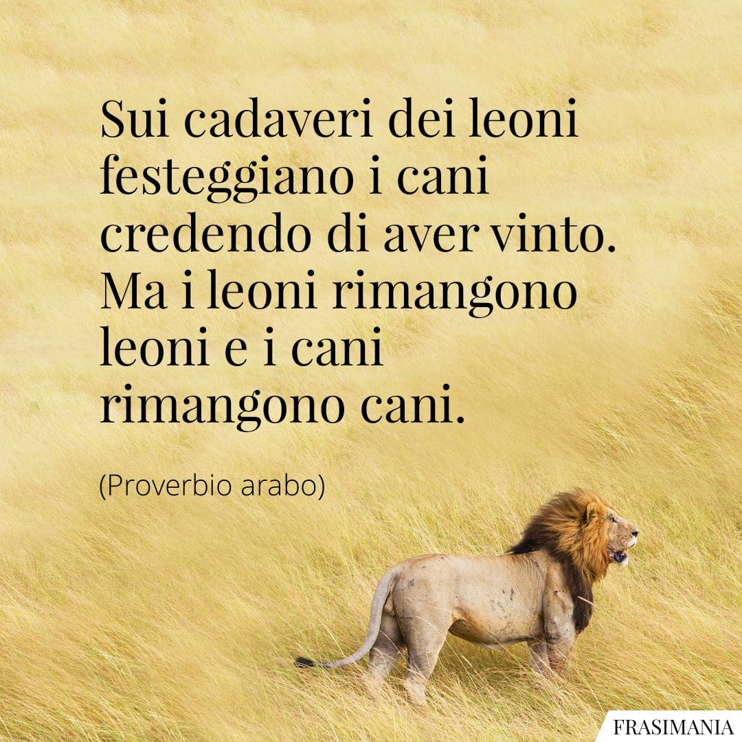 25 Frasi Sui Leoni In Inglese E Italiano