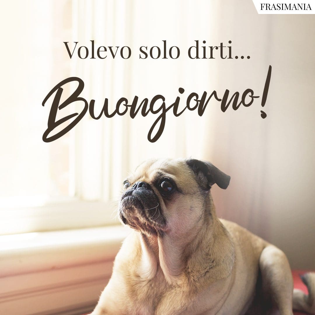 Volevo Solo Dirti Buongiorno Buongiorno Dirti