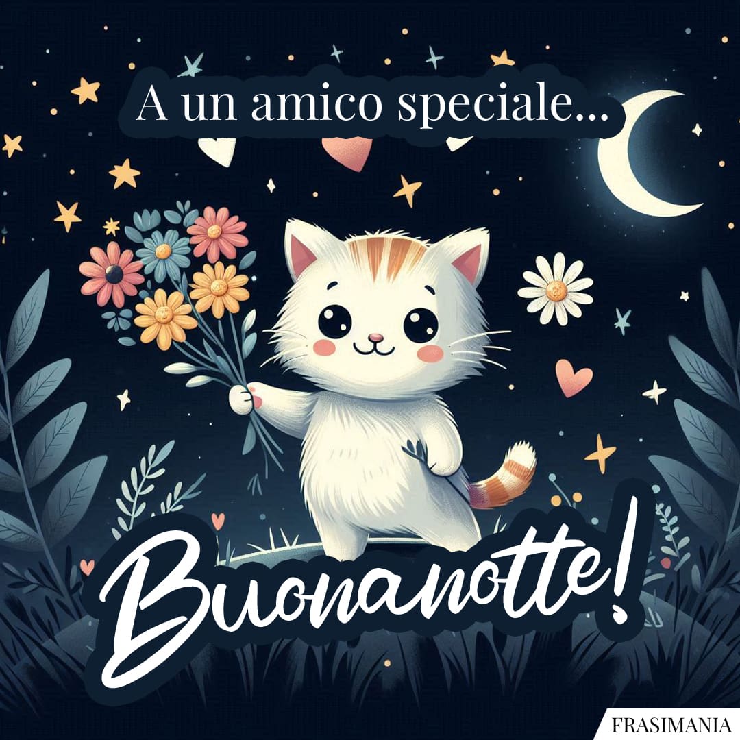 A Un Amico Speciale Buonanotte Buonanotte Amico Speciale Gattino