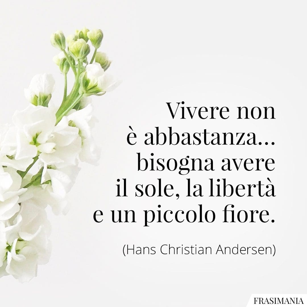 Frasi Sui Fiori Le 50 Più Belle In Inglese E Italiano 7883