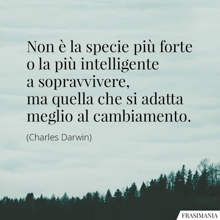 Frasi Sul Cambiamento (brevi): Le 100 Più Belle Di Sempre