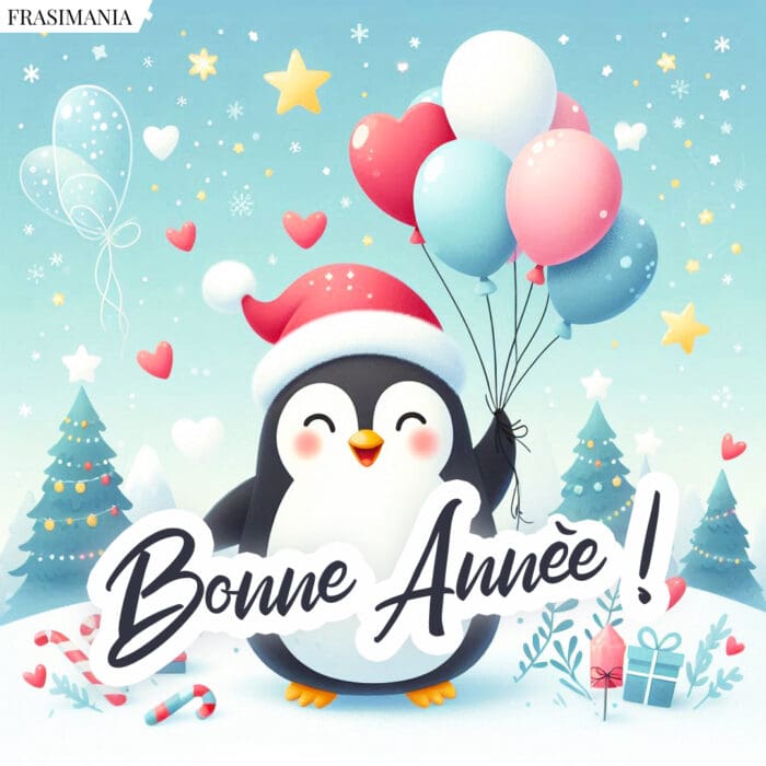 Bonne Année !