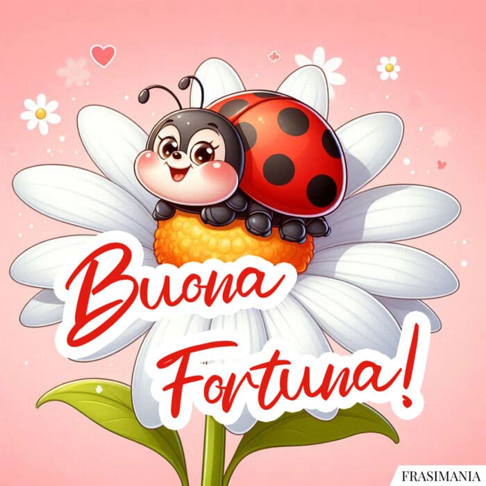 Buona Fortuna!