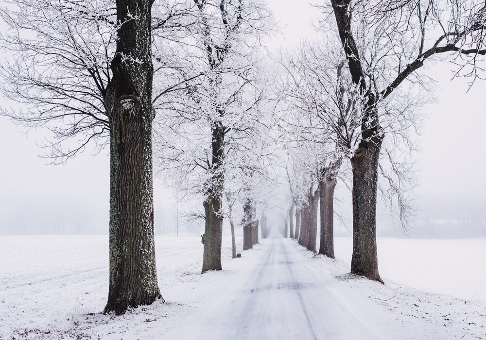 Poesie Sulla Neve Le 15 Piu Belle Ed Emozionanti Frasi Mania