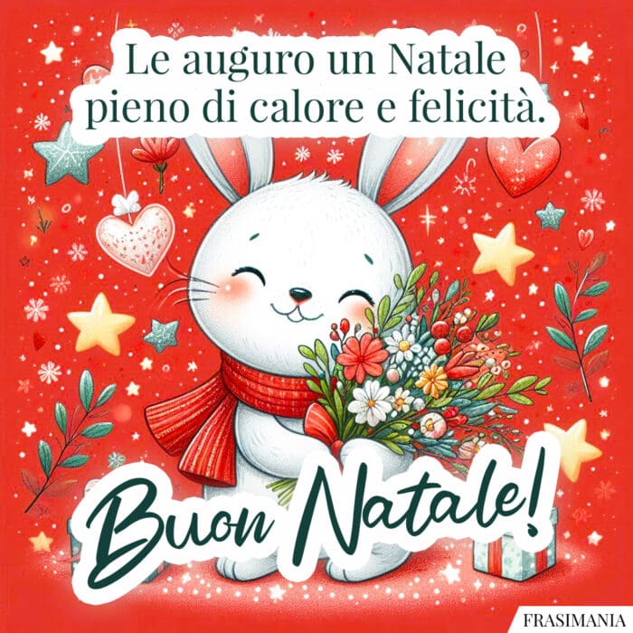 Le auguro un Natale pieno di calore e felicità. Buon Natale!