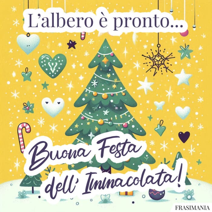 L’albero è pronto… Buona Festa dell’Immacolata!