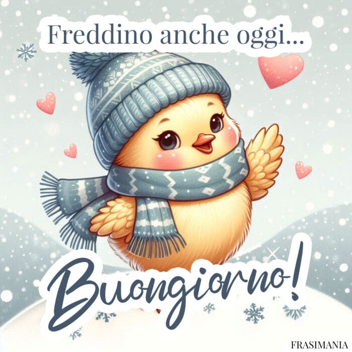 Freddino anche oggi… Buongiorno!