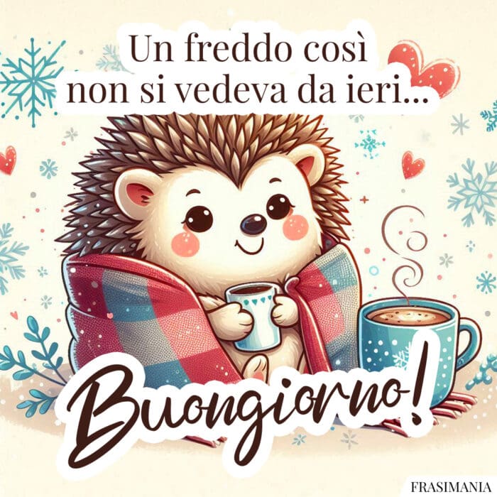 Un freddo così non si vedeva da ieri… Buongiorno!