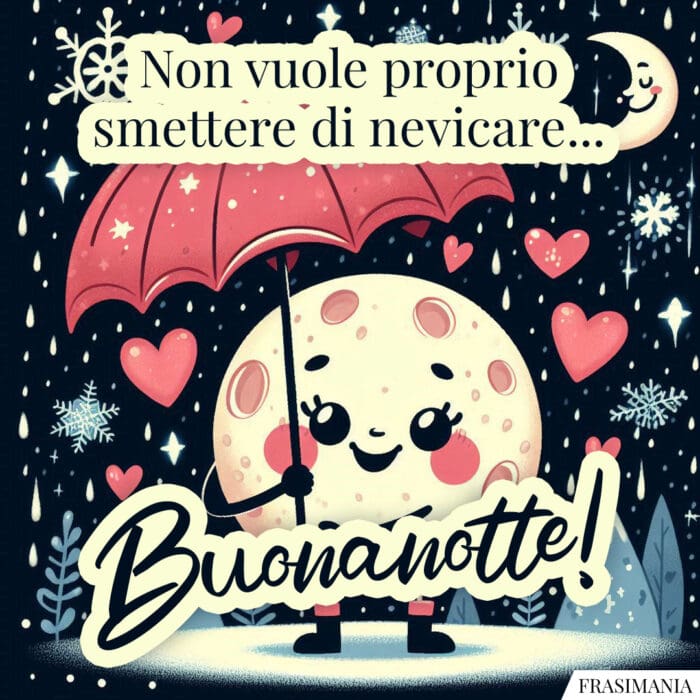 Non vuole proprio smettere di nevicare... Buonanotte!