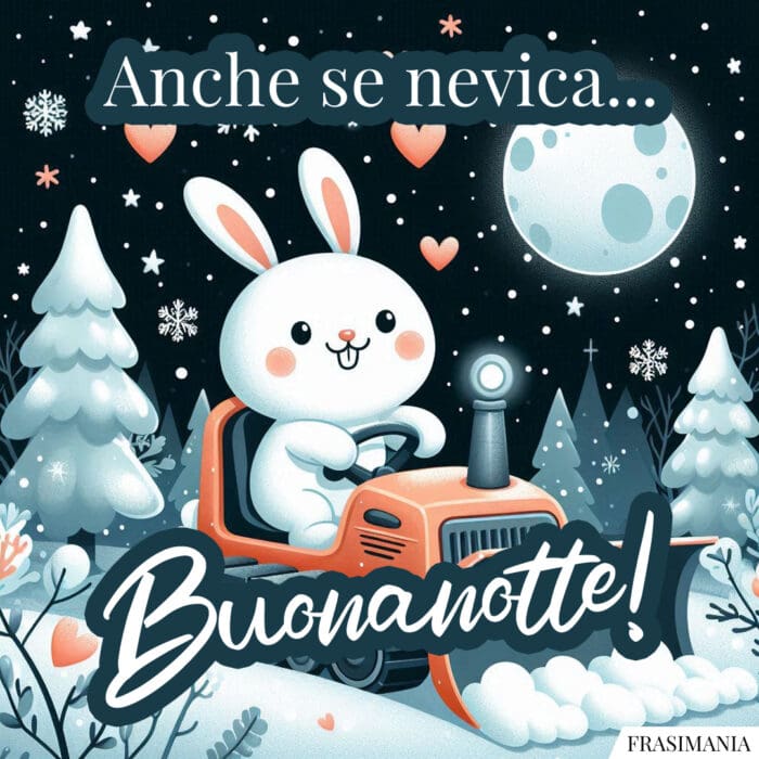 Anche se nevica... Buonanotte!