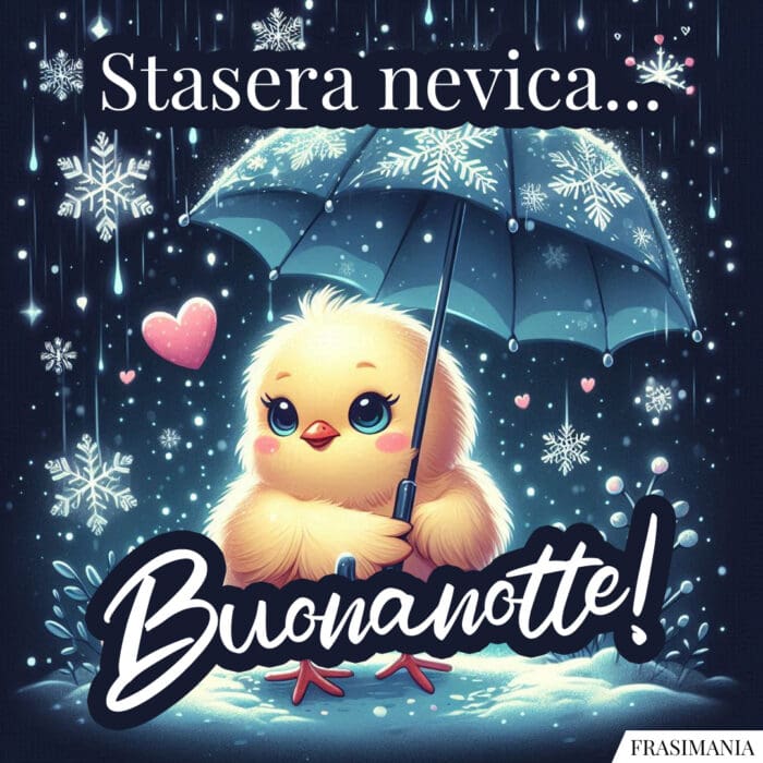 Stasera nevica... Buonanotte!