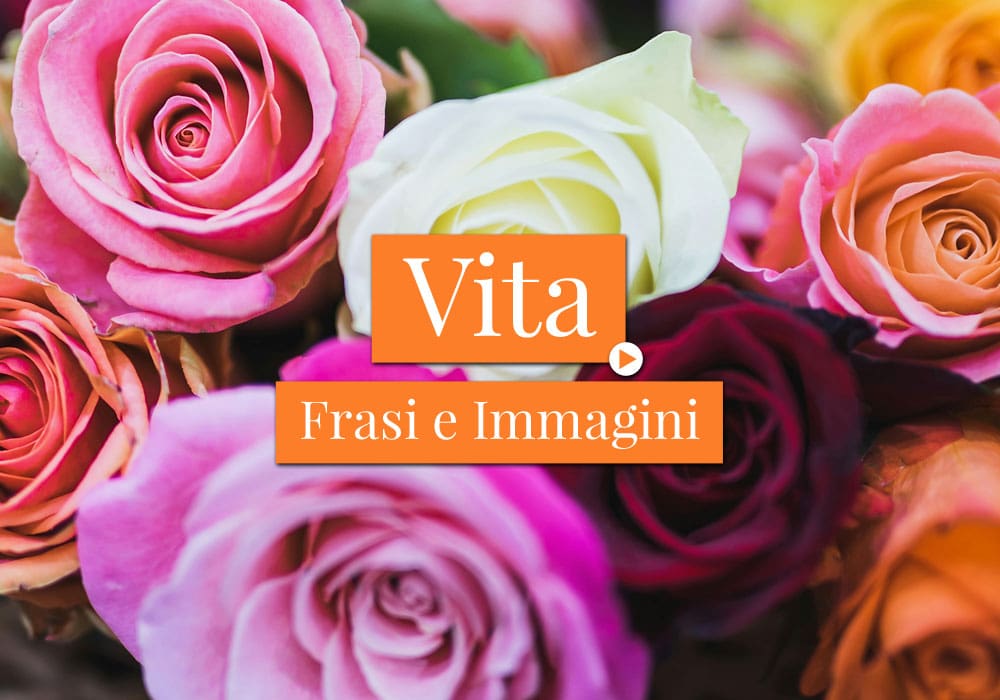 Frasi e Immagini sulla Vita